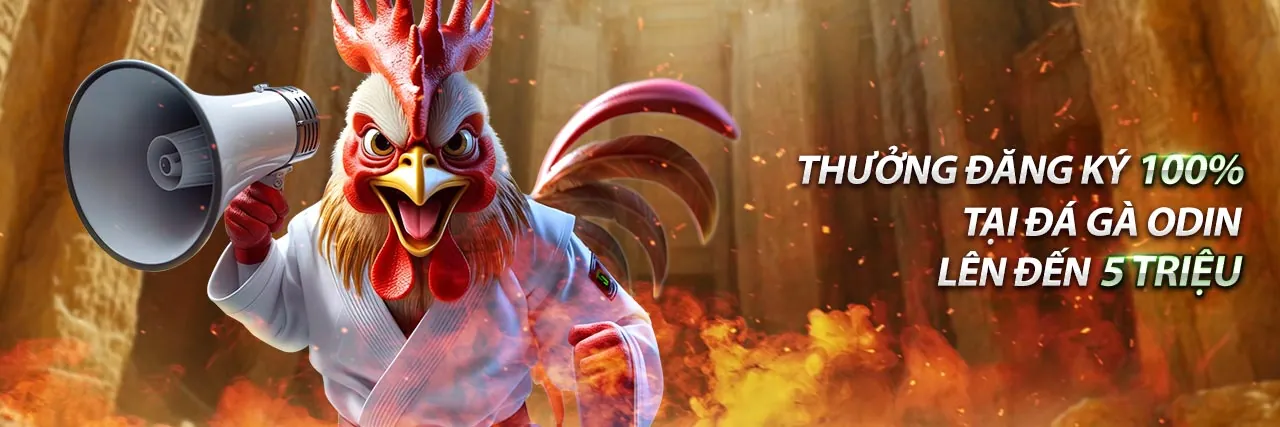 Hình ảnh nền đĩa ke